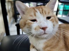 -齐齐哈尔烤肉·烧烤·烤鱼(万科时一区店)