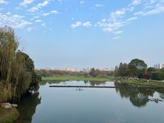 -洋湖国家湿地公园