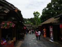 -秀丽东方