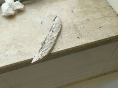 -美豪怡致酒店(上海长寿路店)