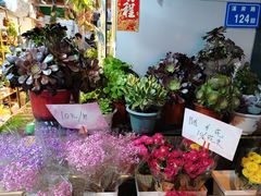 -溪岸路花鸟市场