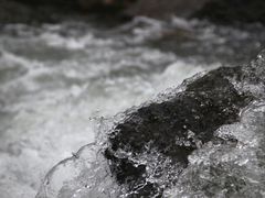 -白河湾生态旅游一条川