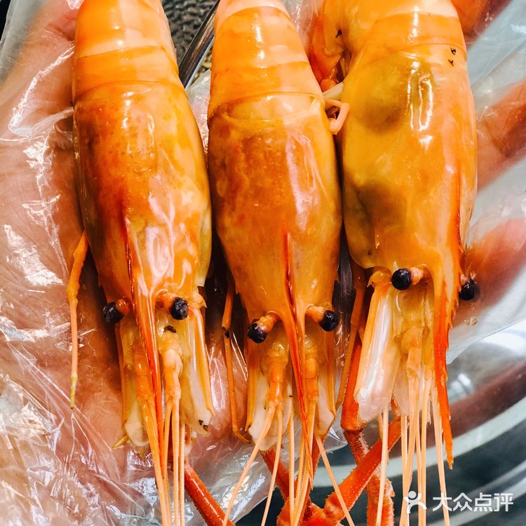 手掌大的爆膏罗氏虾🦐