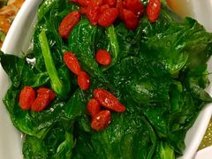 红杞浸豆苗-鱼乐轩海鲜专门店