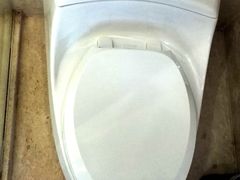 马桶-蓝天清水湾国际大酒店