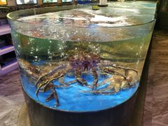 -蟹之国·精品蟹料理(极地店)