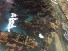 -班赞海鲜市场