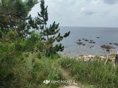 -养马岛旅游度假区