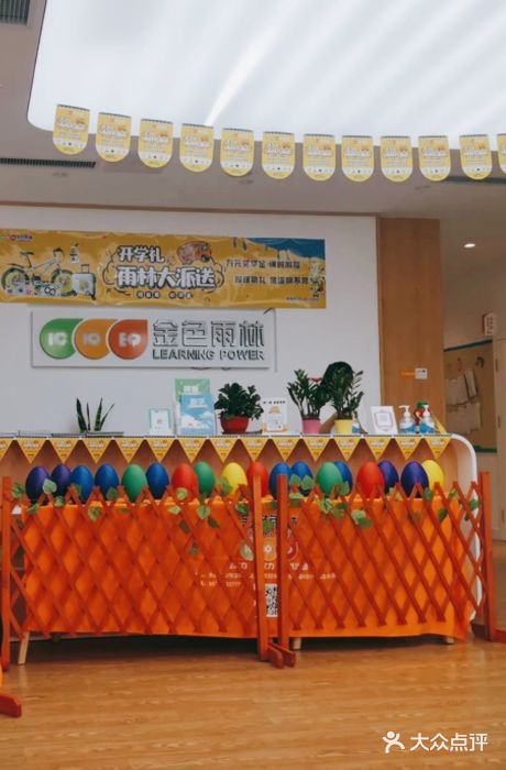 金色雨林学习力培优(专注力提升)图片