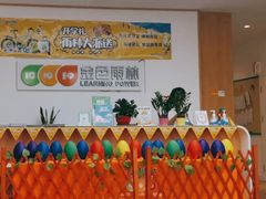 -金色雨林学习力培优(专注力提升)