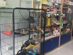 -天雅宠物(绿岛苑店)