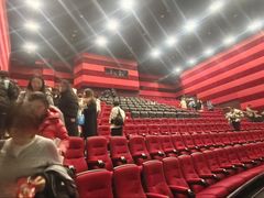 -华谊兄弟影院(IMAX洋桥店)