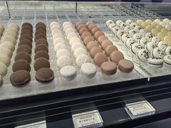 -BLACKSWAN黑天鹅(环球店)