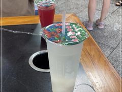 -喀斯特杨梅汤(荔波美食街店)