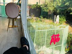 -有猫主题·治愈系猫咖(曾厝垵店)