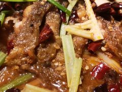 -老板恋上鱼(恒隆广场店)