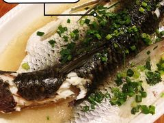 山泉蒸皖鱼-园林美食城·本土农家菜(杨和镇店)