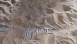 -恐龙探索乐园(磁器口店)