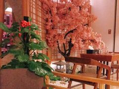-汤泉良子.足疗按摩.SPA(中关村店)
