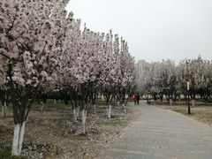 -太阳宫公园