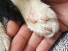 -平行世界·猫咖(首经贸店)