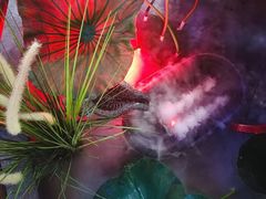 -坛宗剁椒鱼头(河西王府井店)