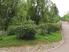 -白鹭湾湿地公园