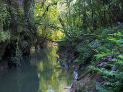 -怀托摩萤火虫洞