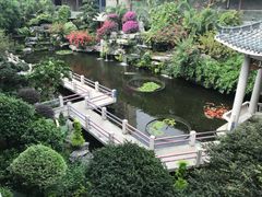 -桃园盛宴·岭南粤菜·手工茶点(南庄店)