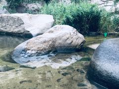 -碓臼峪自然风景区