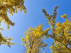 -杭州电子科技大学(下沙校区)