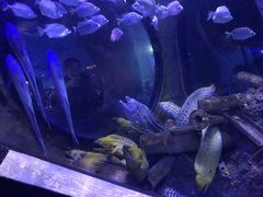 -成都浩海立方海洋公园