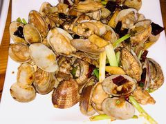-枸杞岛
