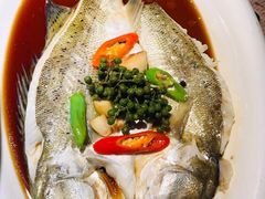 葱椒鲈鱼-绿茶餐厅(西单老佛爷店)