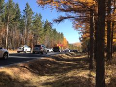 -塞罕坝国家级自然保护区