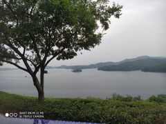 -天目湖涵田度假村
