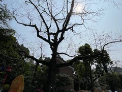 -广州中山纪念堂