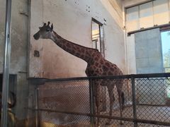 -石家庄市动物园