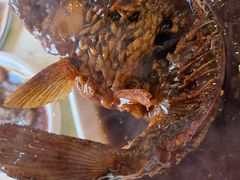 -奥华餐厅·老张记(台基厂店)