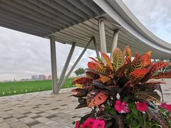 -上海山野camping·户外天幕烧烤·团建拓展营地