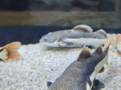 -顺德南宏海立方海洋公园