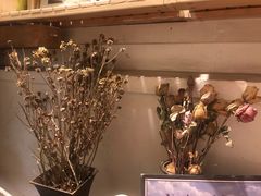 -斯多格书乡(北京大学畅春园店)