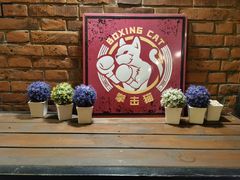 -Boxing Cat Brewery拳击猫精酿啤酒馆(永福店)