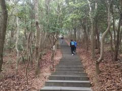 -梧桐山风景名胜区