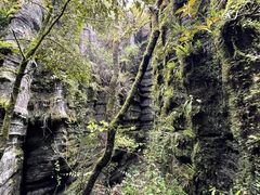 -梭布垭石林景区