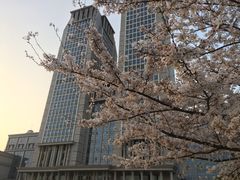 -复旦大学光华楼