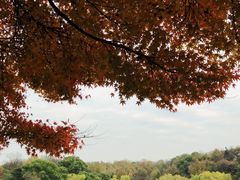 -北山街历史文化街区