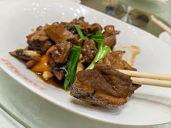 广府陈皮焖马岗鹅-百乐门喜宴(海珠广场华厦店)