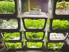 -六扇门潮汕牛肉火锅(BGC店)