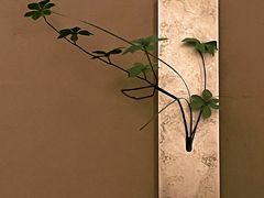 -隐溪茶馆(静安寺店)